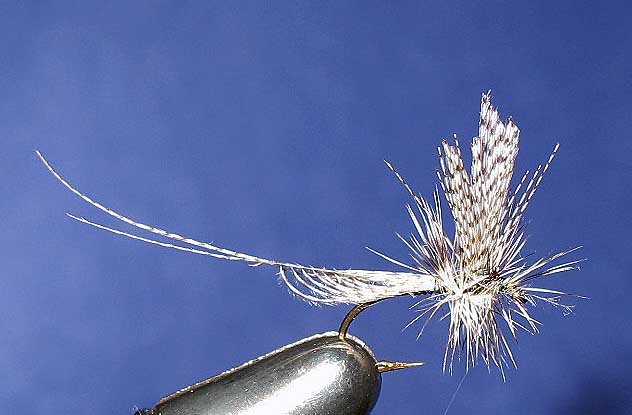 Hatchmaster Fly