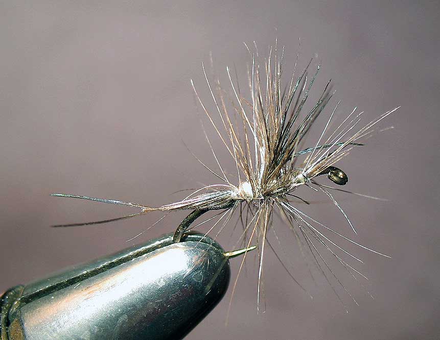 Hatchmaster using Pheasant Neck Feather
